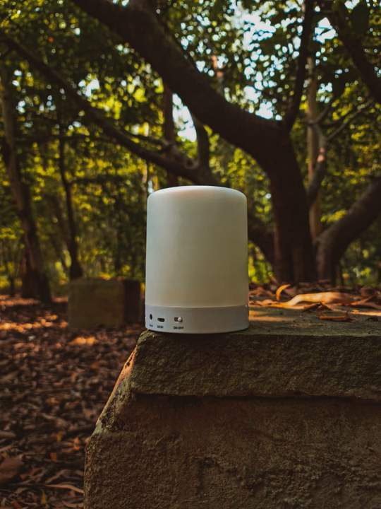 COLOR CHANGING BLUETOOTH SPEAKER